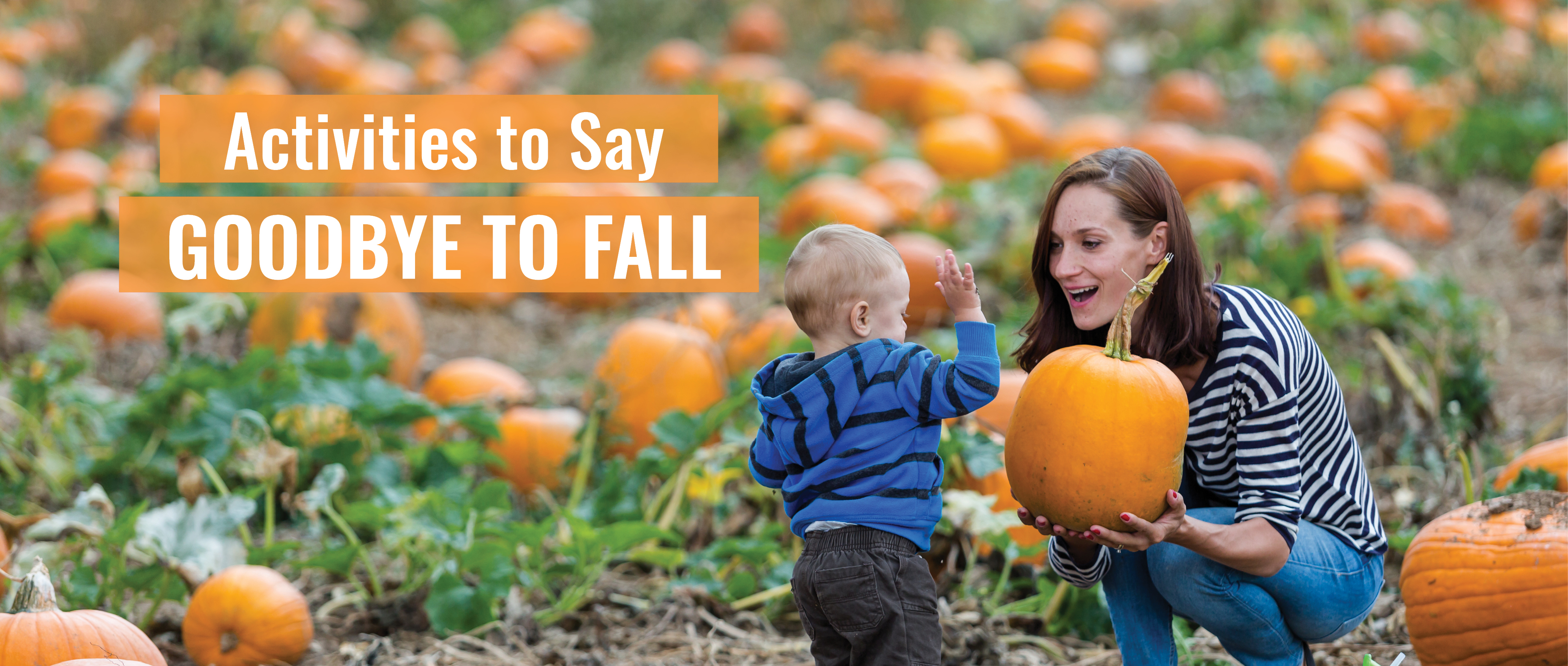 Fall activities in Long Island
